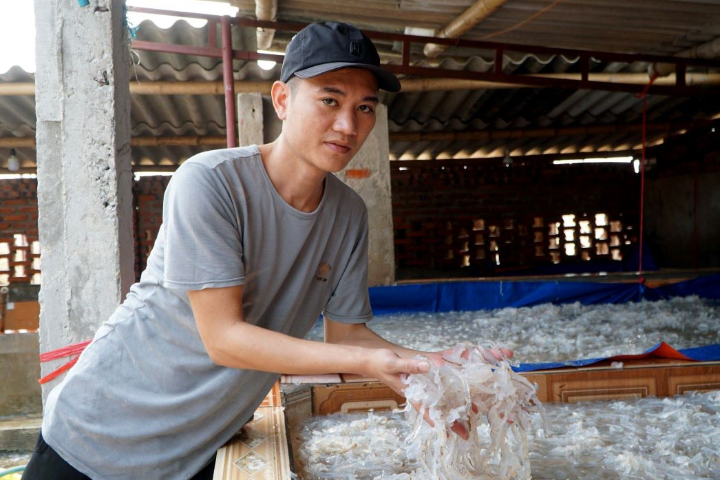 Vào mùa thu hoạch 'vàng trắng', ngư dân Thanh Hoá thu tiền triệu mỗi ngày