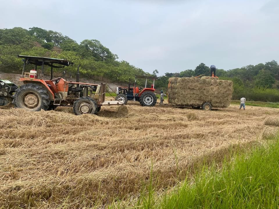 22 tim giai phap giam o nhiem khong khi do dot rom ra.jpg