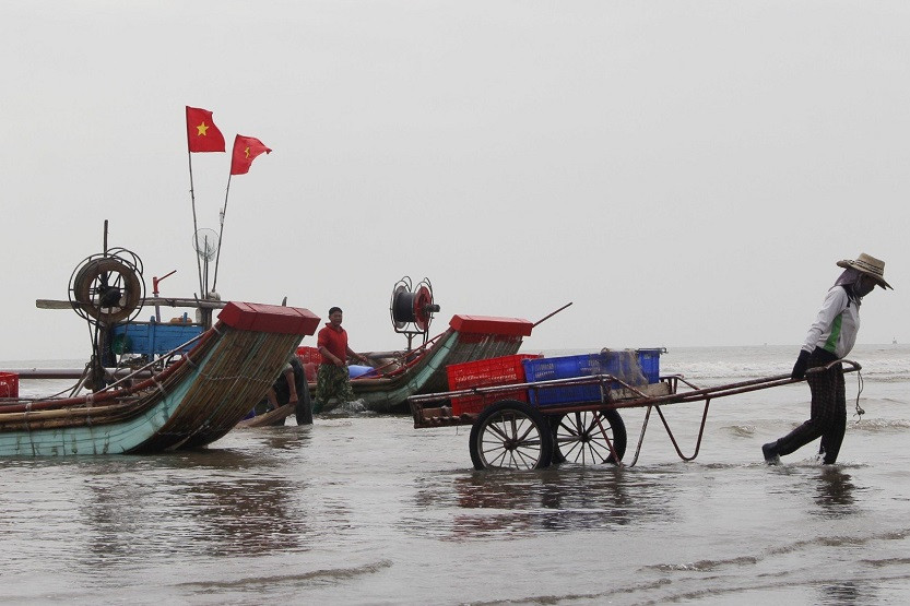 Thanh Hóa đặt mục tiêu phát triển bền vững các ngành kinh tế biển