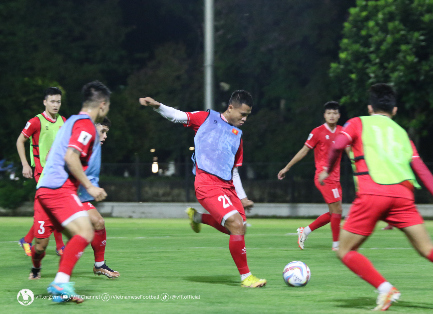 tuyen viet nam 3.jpg