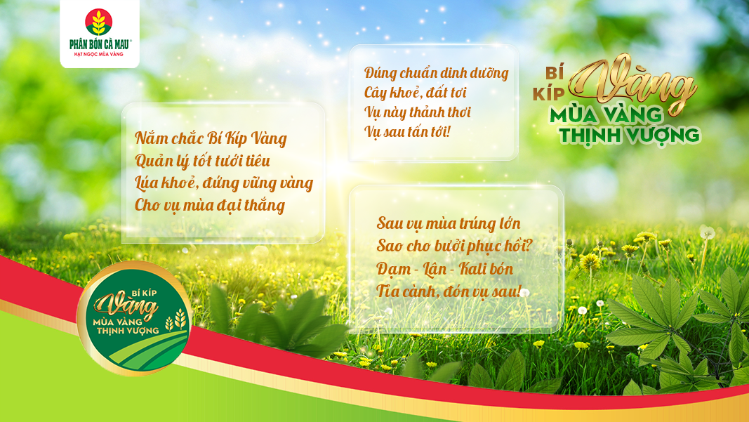 vietnamnet tho ca trong bi kip vang duoc the hien doc dao va giau cam xuc 1.png