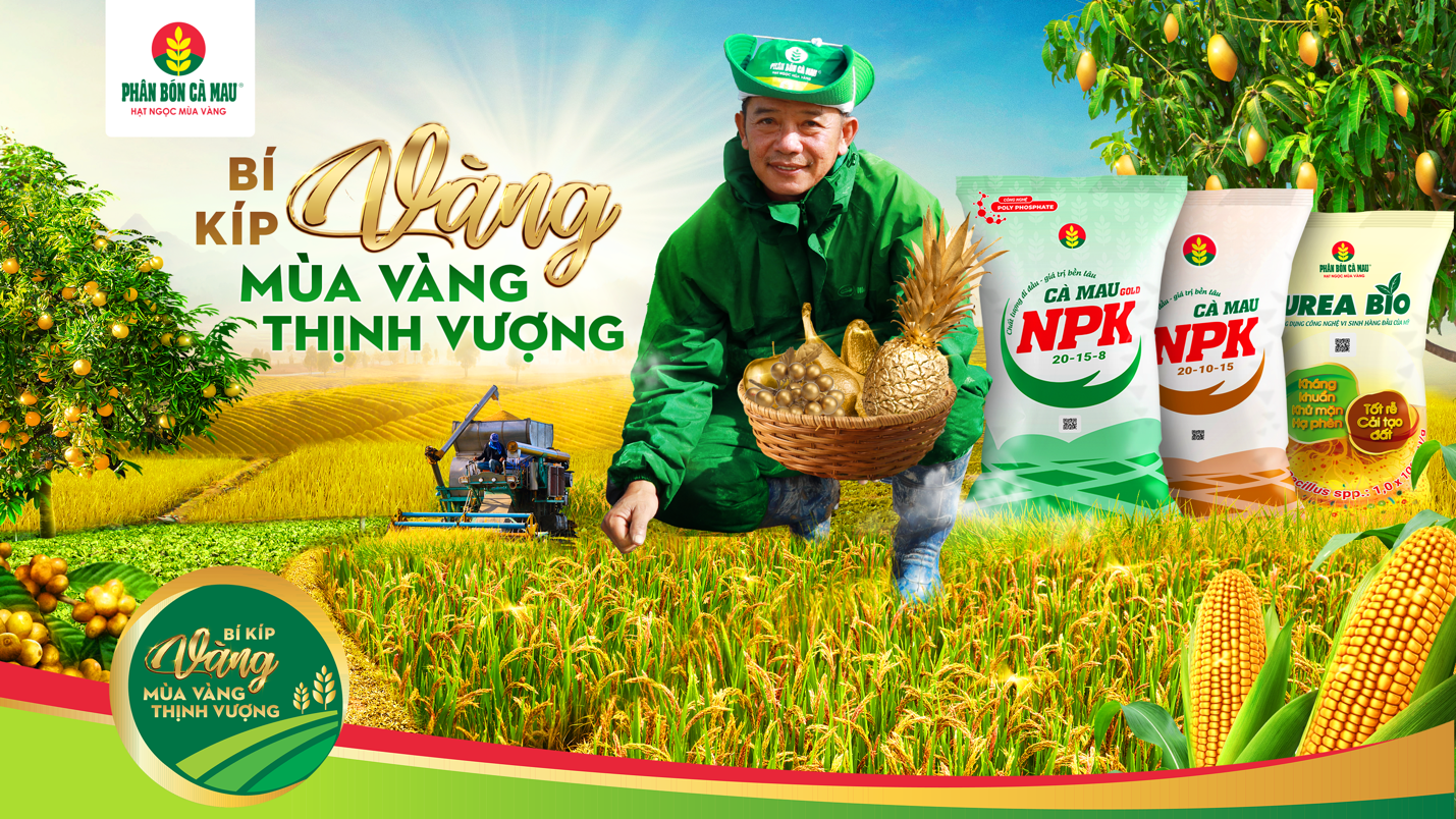 vnn anh 1.png