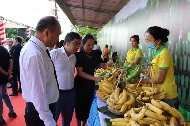 Bright prospect for agro-forestry-fishery exports to Japan