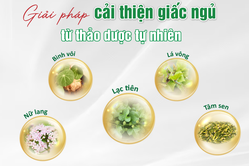 Giải pháp hỗ trợ cải thiện giấc ngủ từ thảo dược tự nhiên