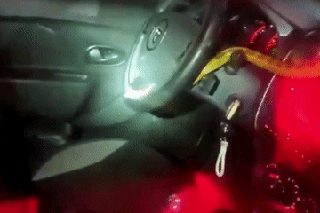 Nữ tài xế tá hỏa phát hiện rắn bò lổm ngổm bên trong xe ô tô