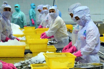 Brazil asked to remove barriers placed on Vietnamese seafood exports