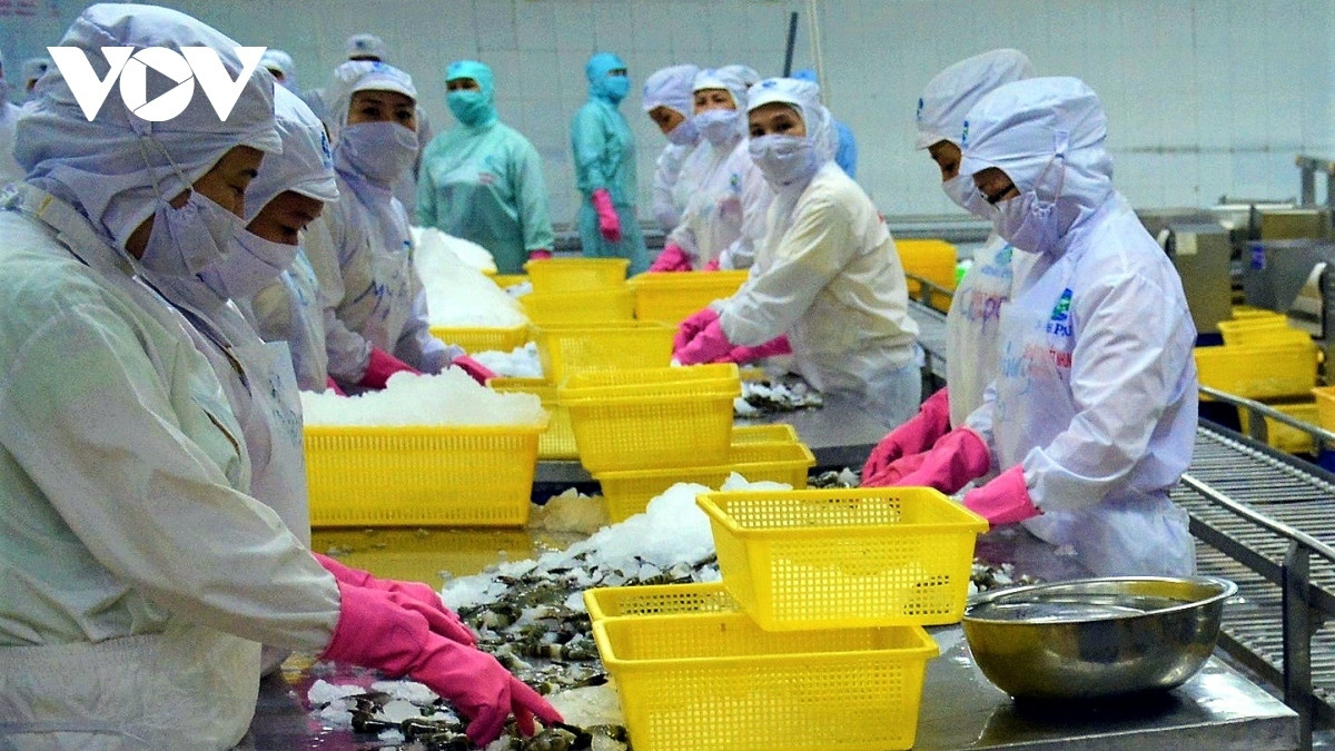 brazil asked to remove barriers placed on vietnamese seafood exports picture 1