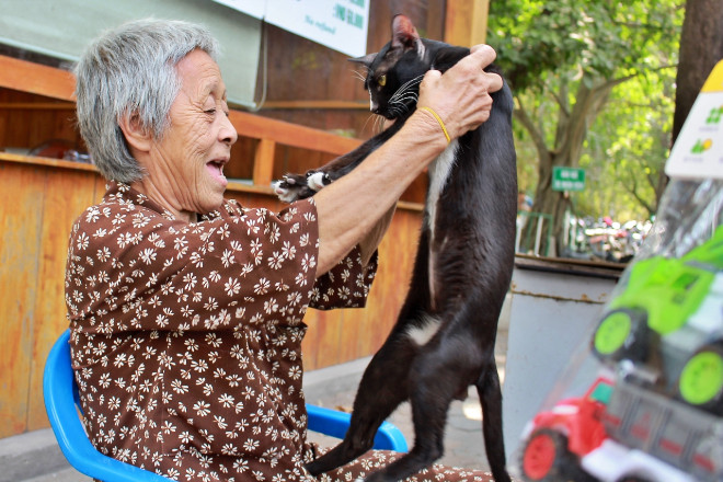 Cụ bà gần 10 năm ăn cơm trắng chừa thịt cá làm điều cảm động