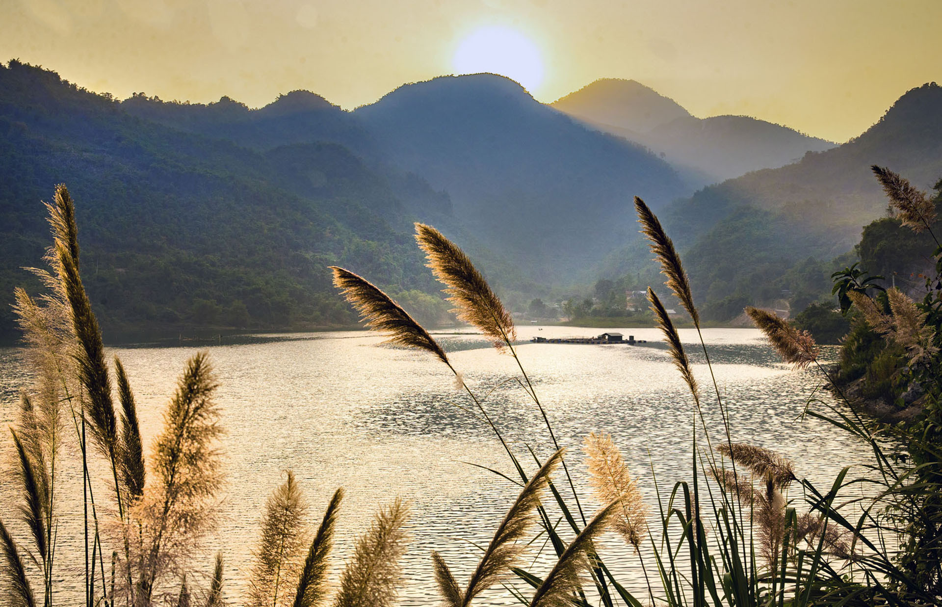 Hoa Binh Da Bac .jpg