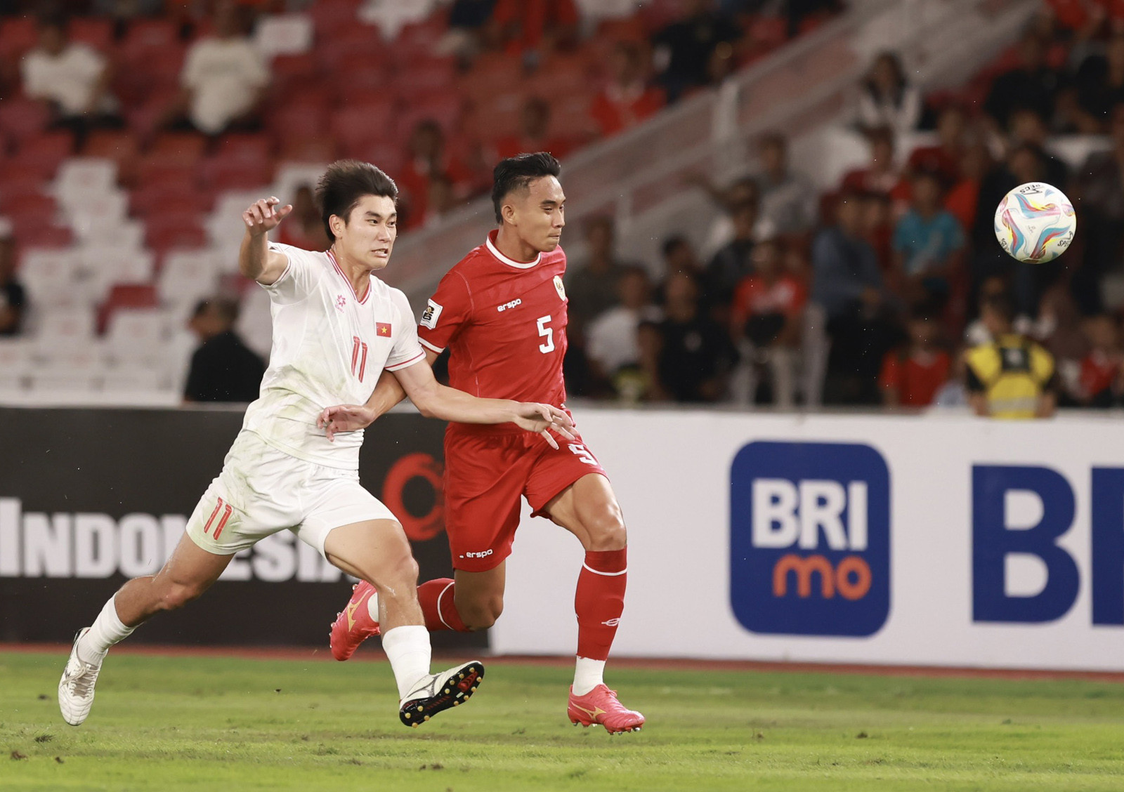 viet nam indonesia 20.jpg