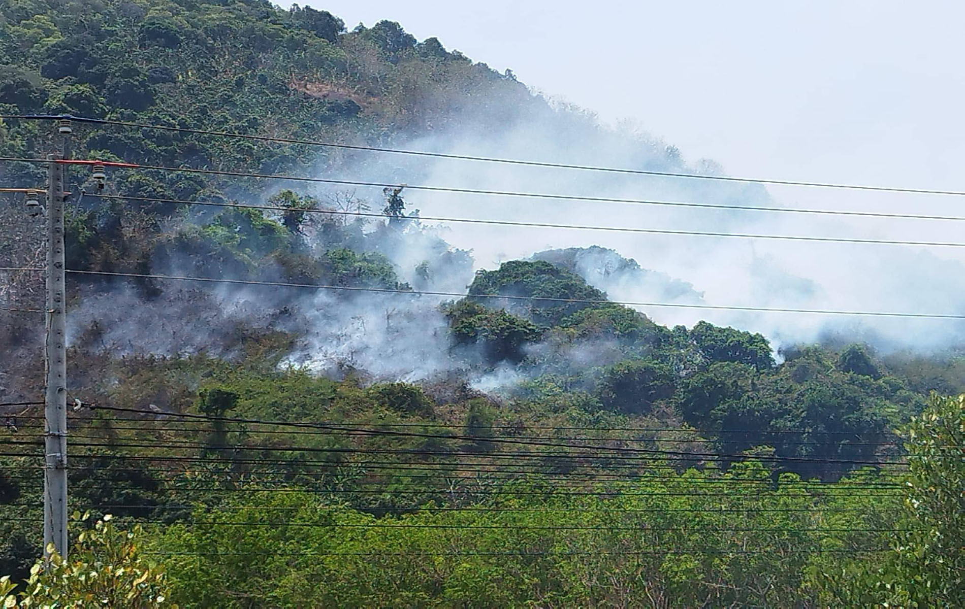 15 chu dong ung pho.jpg