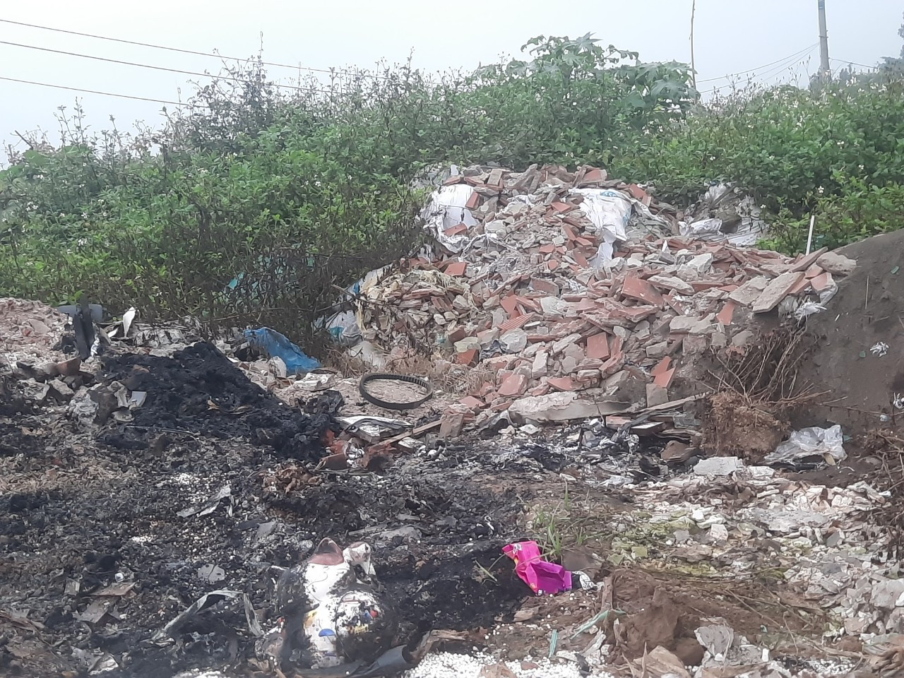 3 dot rac o nghia trang.jpg