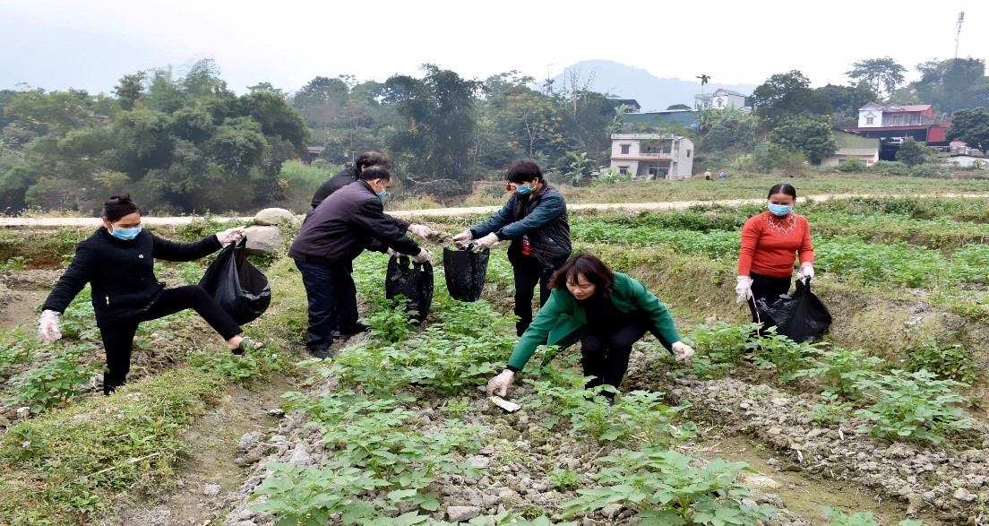 anh bai quang kim.jpg