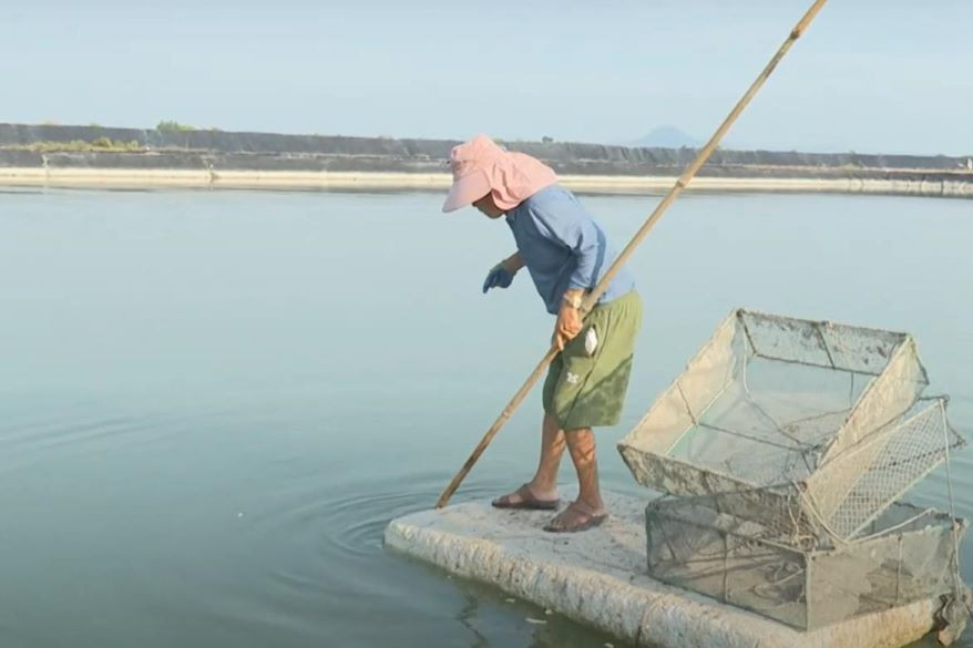 Chuyển đổi ngành nghề khai thác gắn với bảo vệ nguồn lợi tự nhiên