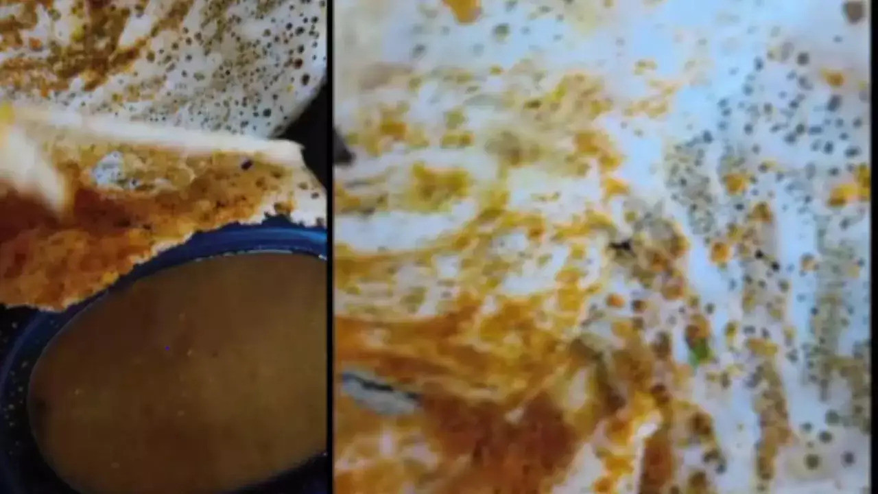 ezgifcom webp to jpg converter.jpg