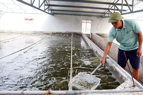 Nam Định áp dụng công nghệ cao trong nuôi trồng thủy sản