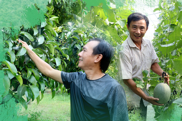 Đồng Nai vào cuộc đua Net Zero: Mở đường lớn cho nông nghiệp xanh