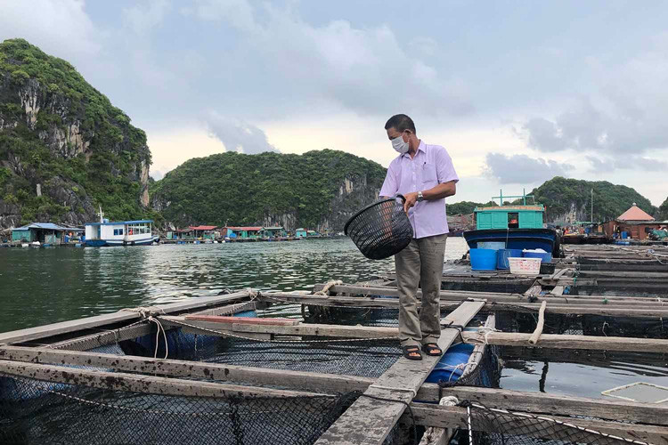 Ngư dân Đồ Sơn yên tâm vươn khơi bám biển, làm giàu