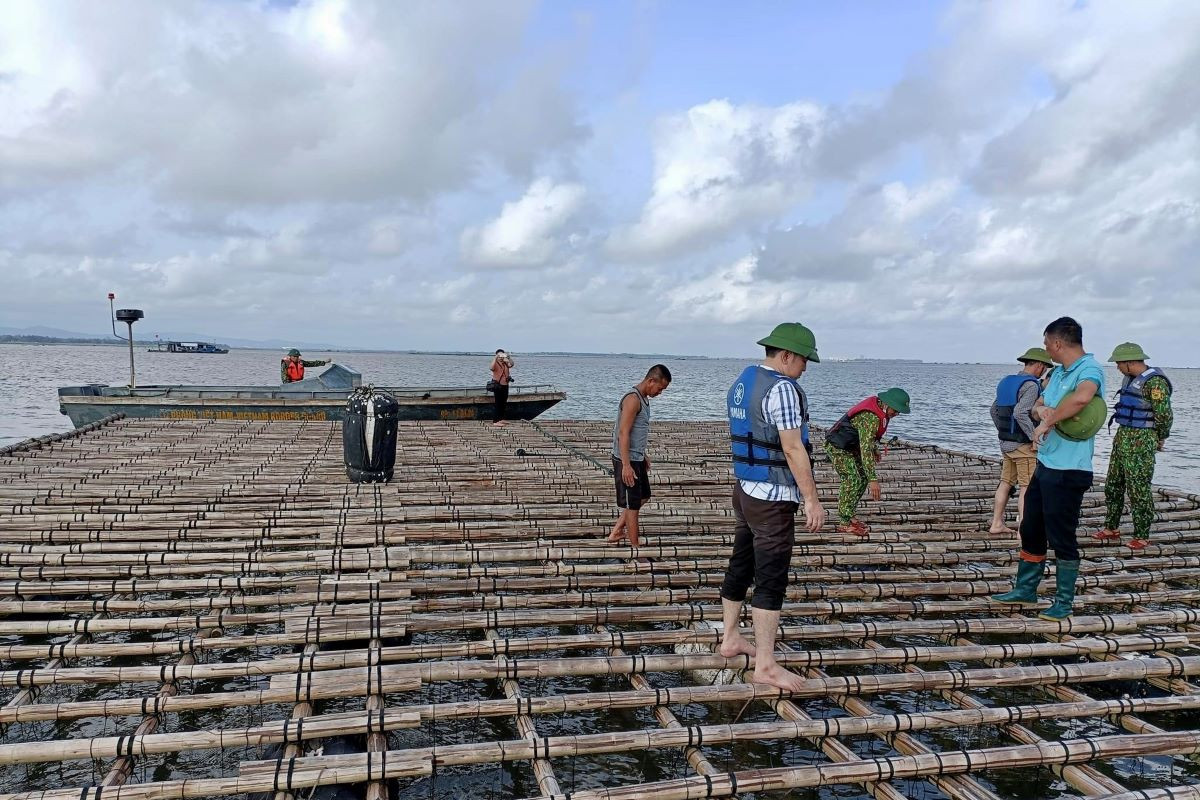 Tìm giải pháp phát triển nuôi biển công nghiệp