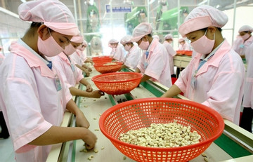 Vietnam Business News March 25/2024