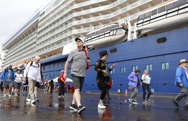 Thua Thien-Hue places priority on tapping cruise tourism potential hinh anh 1