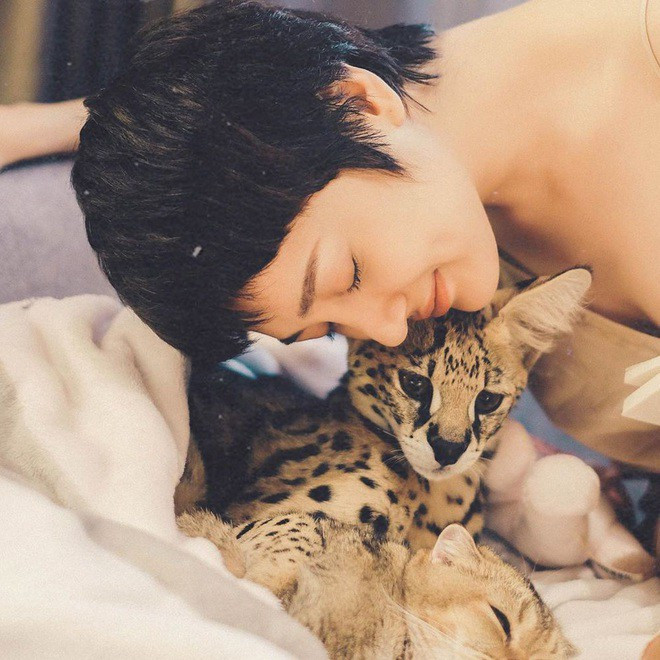 1699929701 263 sao viet dua thu cung vao anh song ao mua dich 1a031db2 15888597268261529457467 1699929702 width660height660.jpg