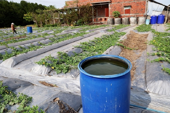 Authorities mulling over options to alleviate saline intrusion in Mekong Delta