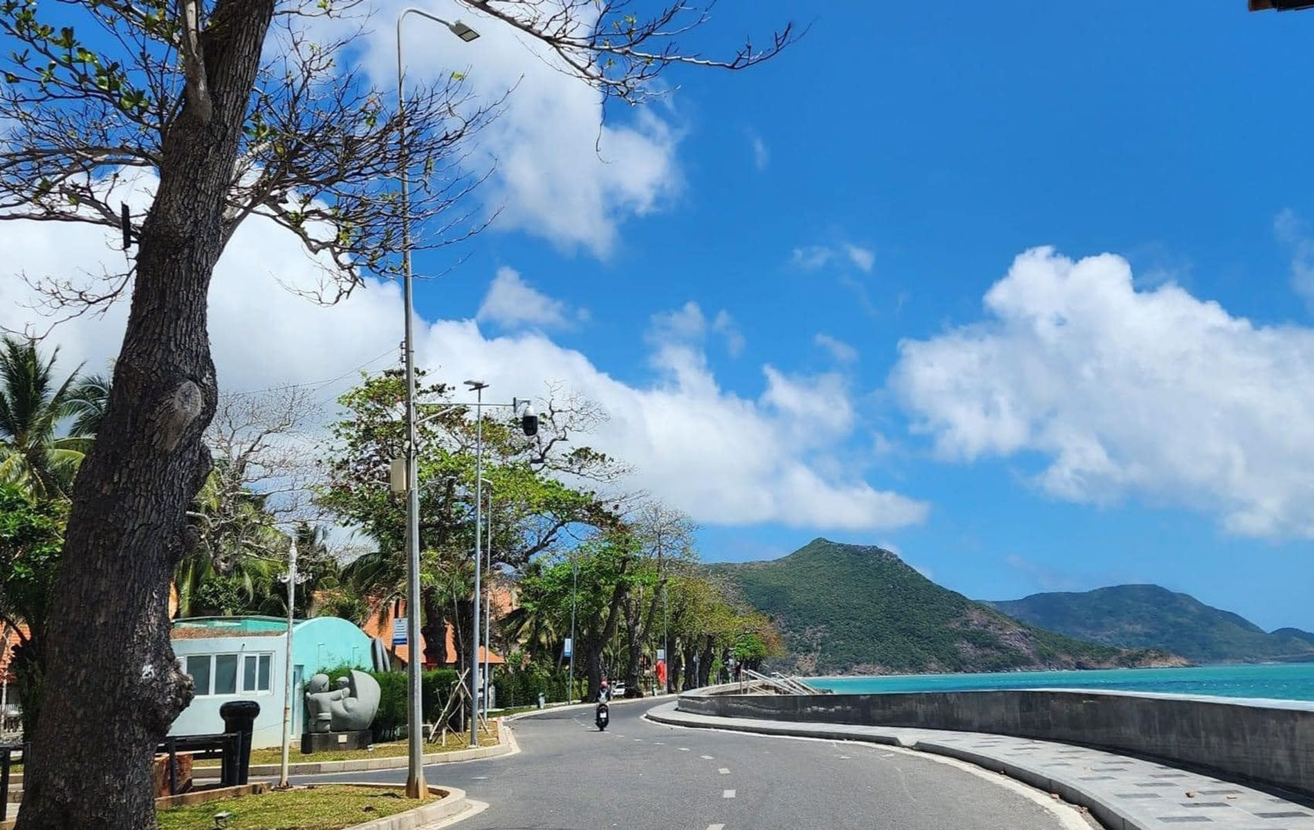 dien luoi con daook.jpg