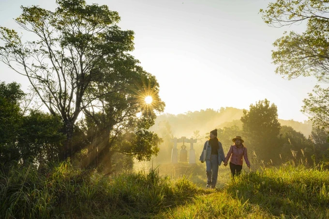 Forest economy bustling thanks to tourism