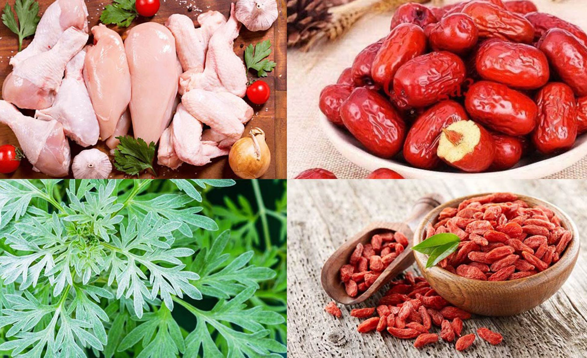 nguyen lieu ga ngai cuu.jpg