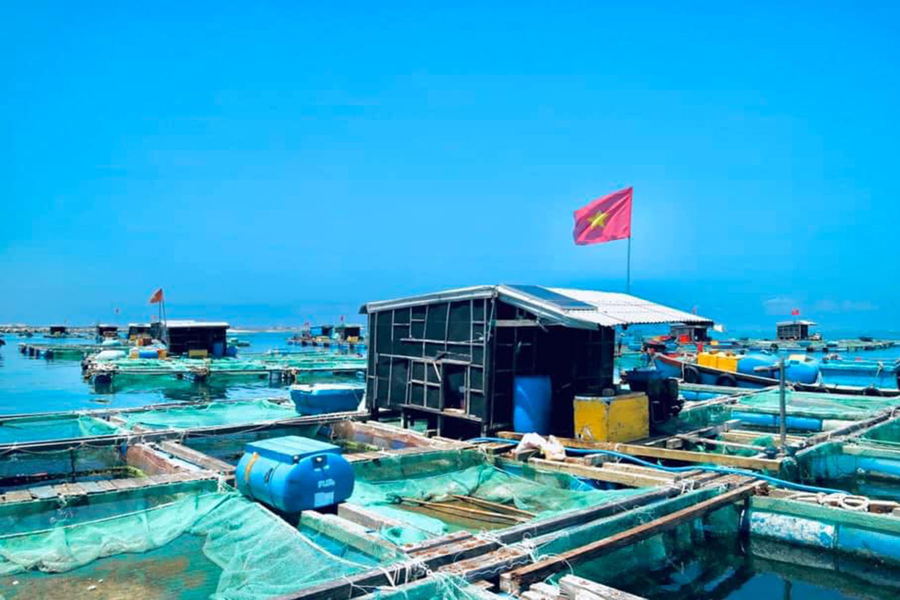 Tận dụng các khu bảo tồn cho ngư dân nuôi biển