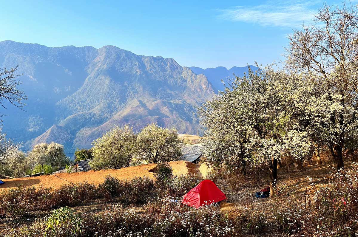 ﻿Exploring Nam Nghiep Village during hawthorn flower season