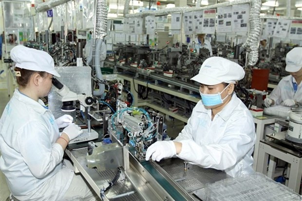 More than 300 businesses, manufacturers to attend VGMF 2024 hinh anh 1