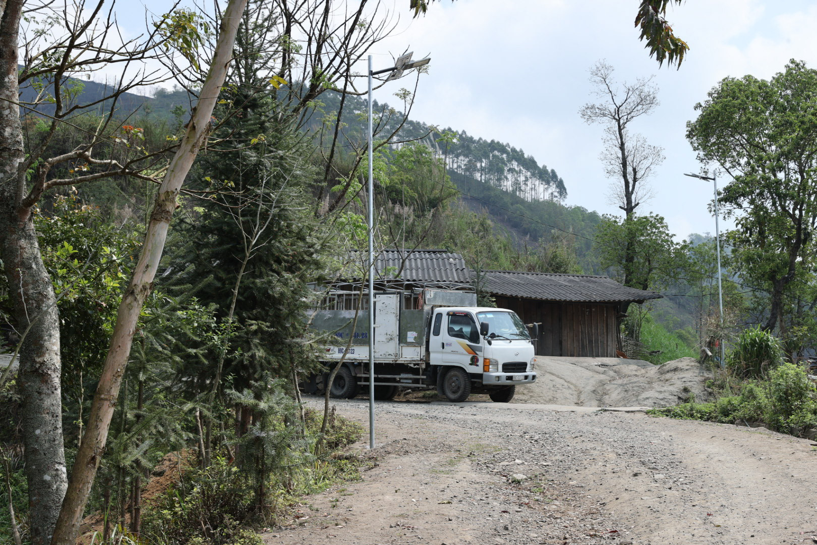 psx 20240325 114039.jpg