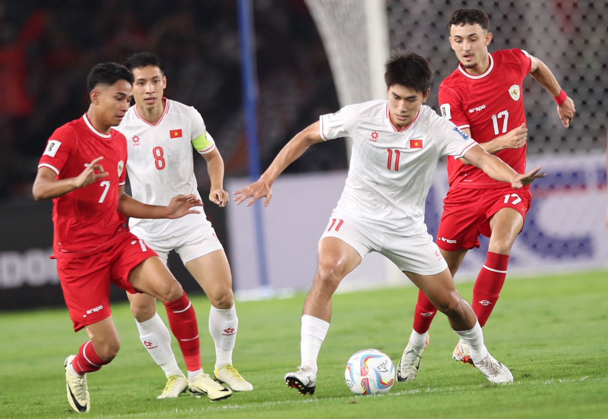 viet nam indonesia 16 553.jpg