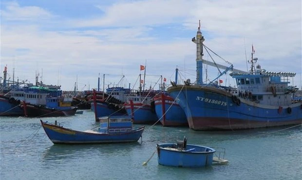 Kien Giang steps up IUU-related communication work hinh anh 1