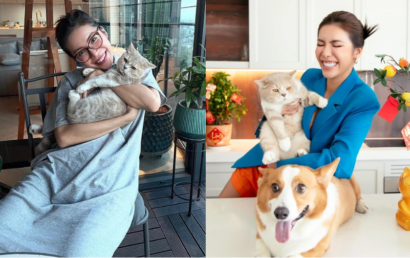 banh ton va net na.png