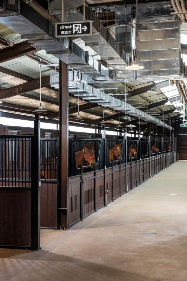 first horse training academy taking shape in vietnam picture 2