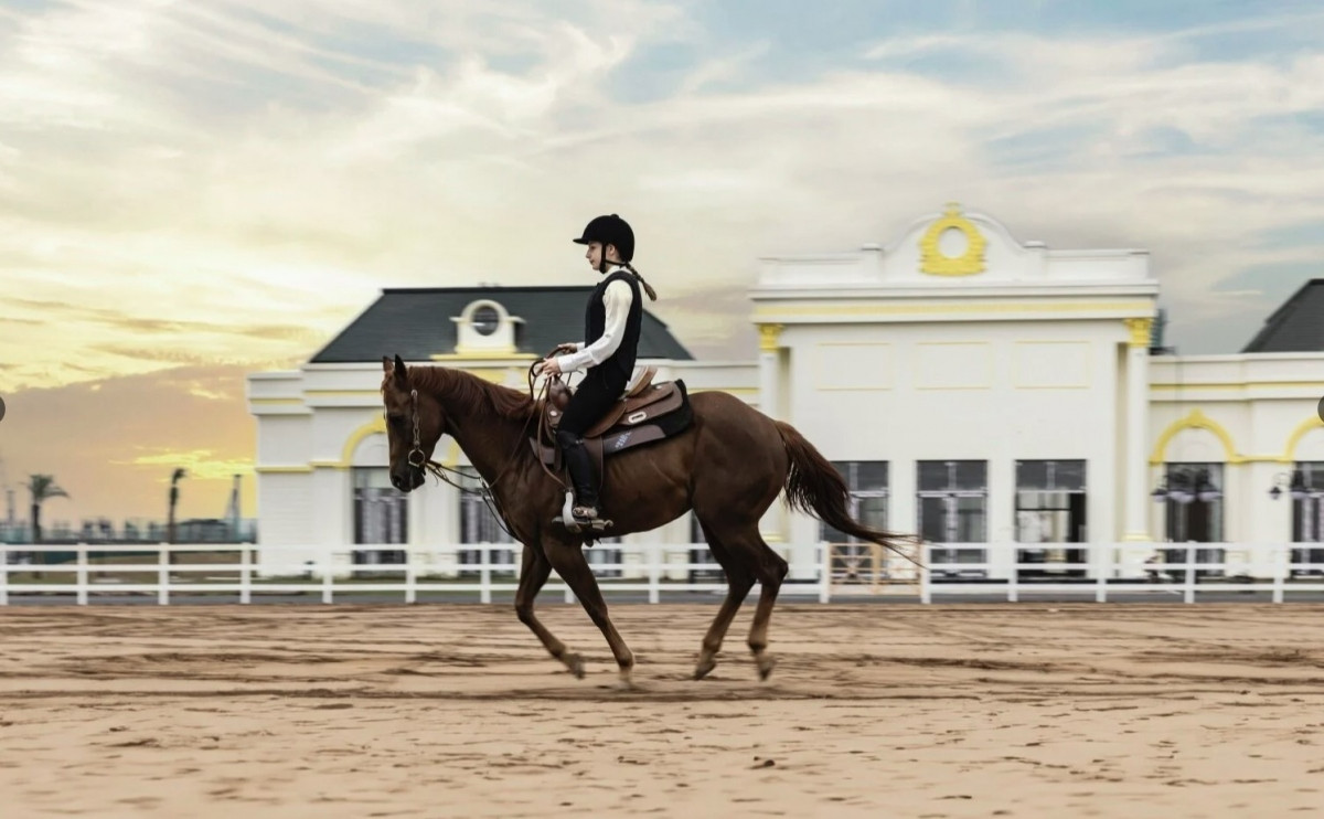 first horse training academy taking shape in vietnam picture 6