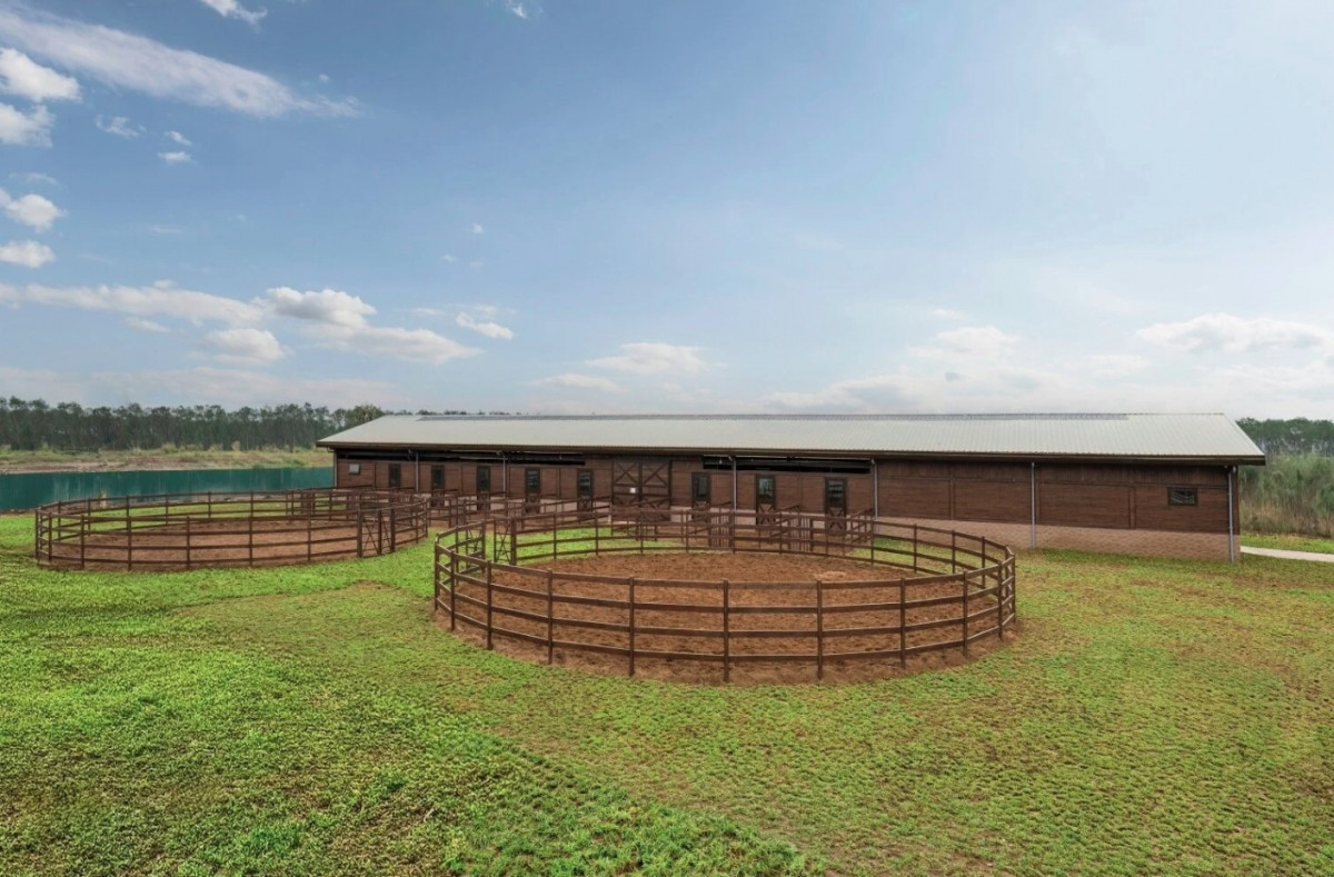 first horse training academy taking shape in vietnam picture 8
