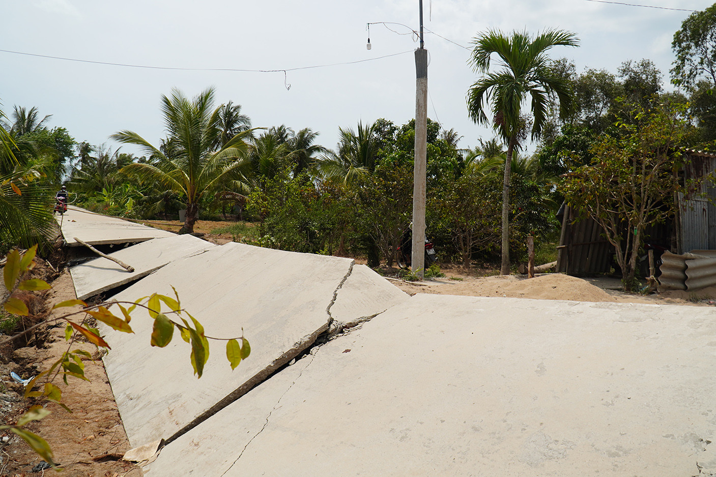 Một huyện ở Cà Mau có hơn 560 điểm sạt lở, sụt lún