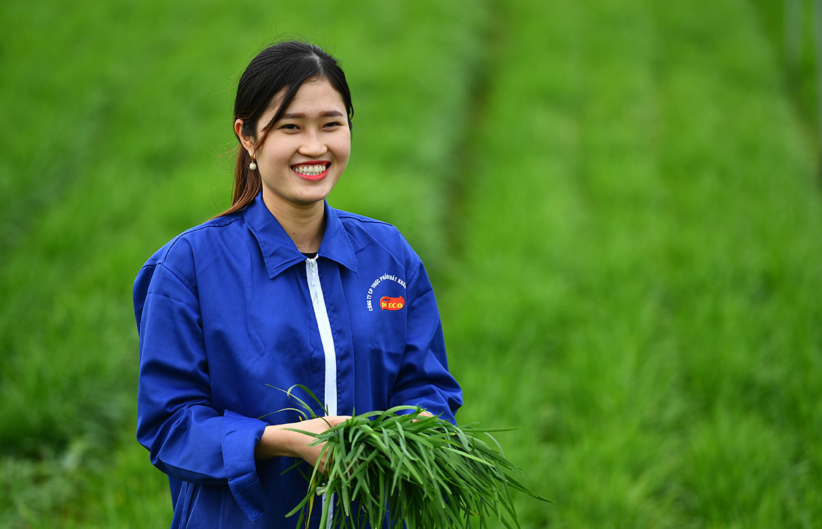 tang truong xanh 524.jpg