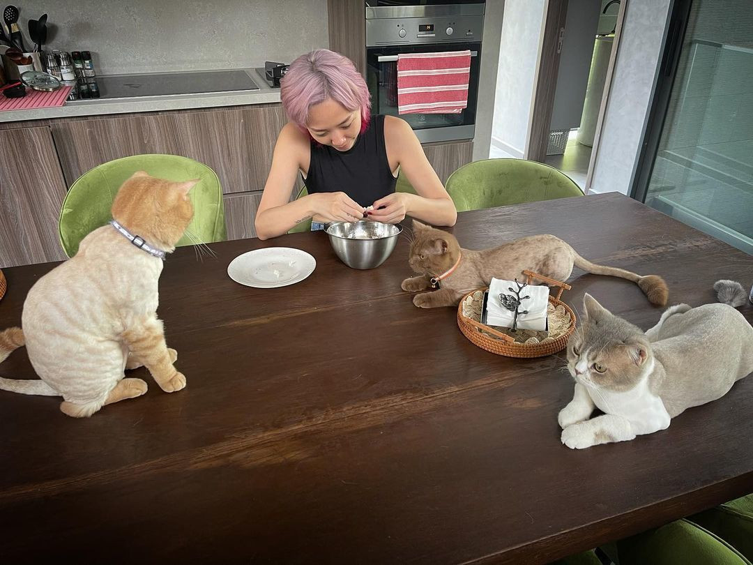 toc tien 3 con meo.jpg