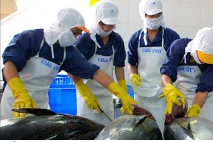 Vietnamese tuna available in 80 markets worldwide