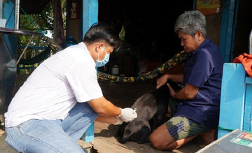 VN strengthens prevention and control of animal-transmitted diseases