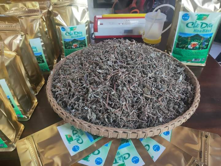 che day hoa bac 1.jpg