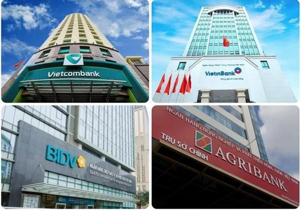SBV approves designation of 14 important banks in 2024 hinh anh 1