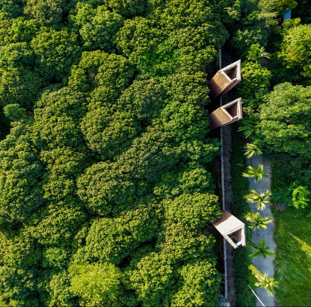 bao tang dao mau cua xuan hinh l.jpeg