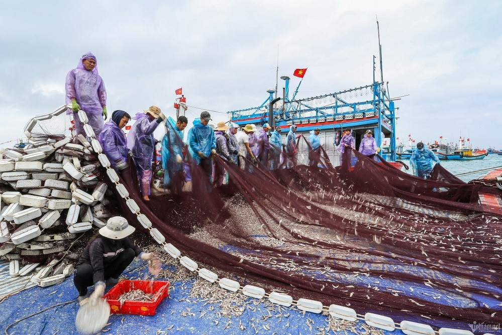 Lần đầu tiên tổ chức triển lãm ảnh về Hoàng Sa - Trường Sa tại Quảng Ngãi