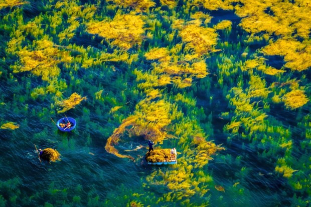 Heritage Journey photo contest 2024 to receive entries from April 1 hinh anh 1